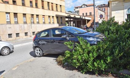 Incidente all'incrocio, auto finisce in un'aiuola