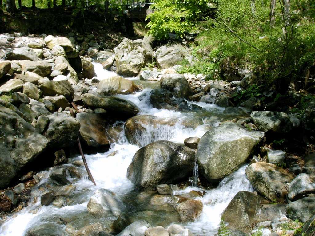 Torrente Oropa all’asciutta, ricorso all’Europa