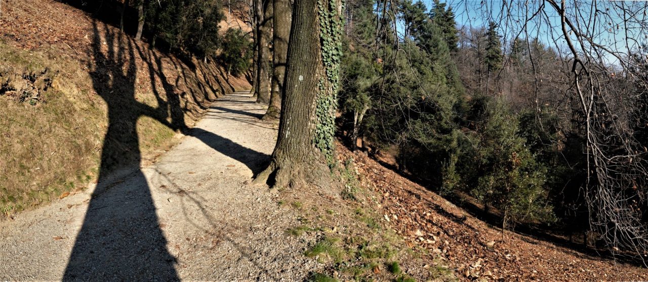Burcina: tra ulivi e sughere, nell’area mediterranea
