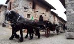 Candelo, la sfilata in paese dei carrettieri FOTO