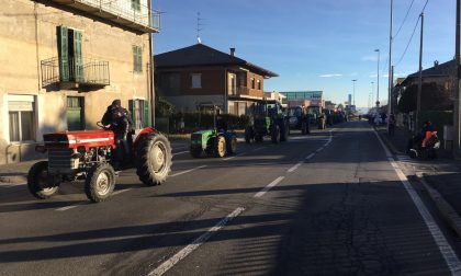 Vigliano celebra Sant'Antonio Abate FOTO