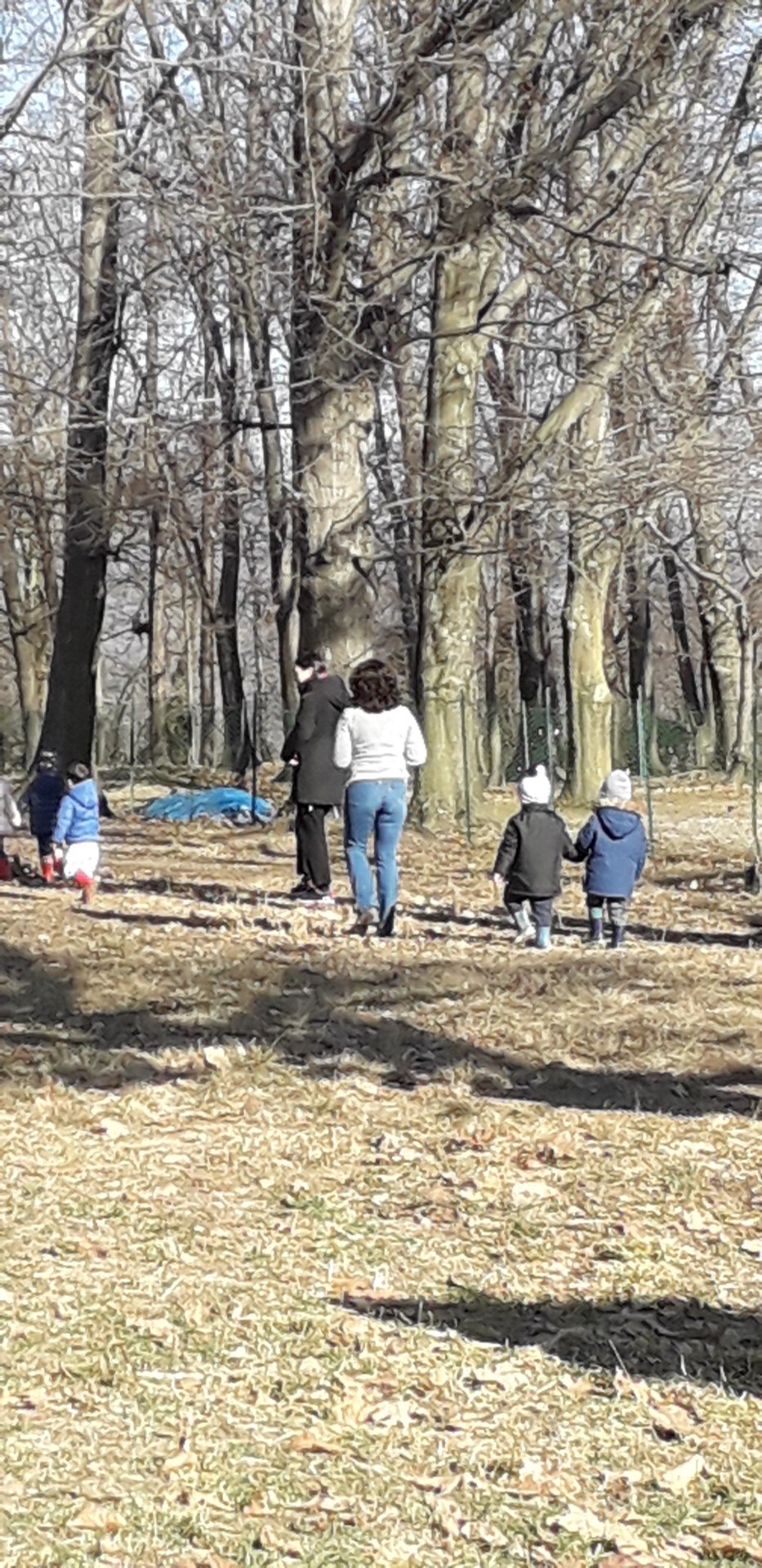 Chiudono parchi e giardini: "troppa gente in giro"