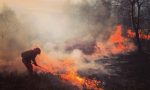 Incendiari all'opera, Baraggia in fiamme: disastro naturale VIDEO