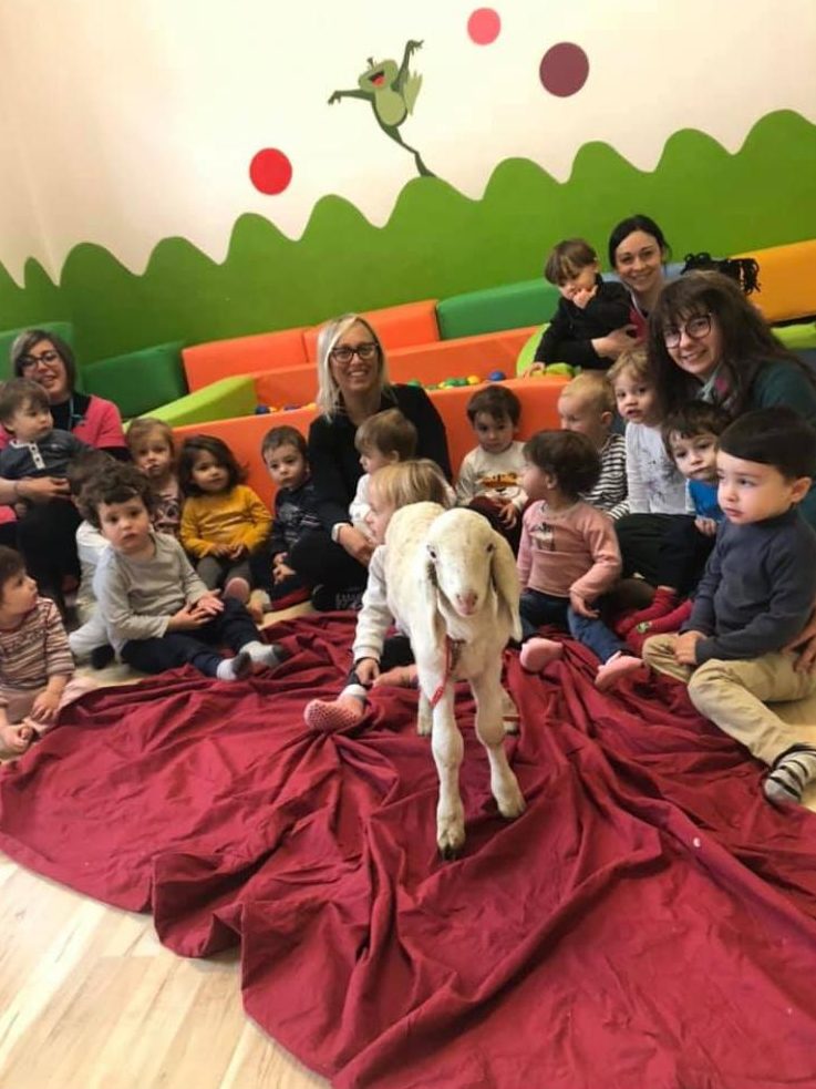 L’agnellino entra nelle scuole biellesi