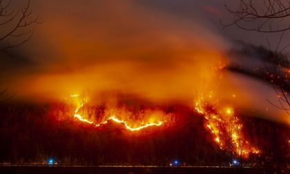 «Come se fossero bruciati 3100 campi da calcio», bilancio devastante degli incendi
