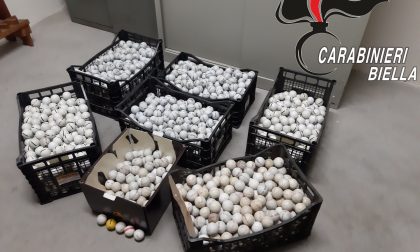 Le 2.310 palline da golf rubate erano a casa di un uomo di Cerrione