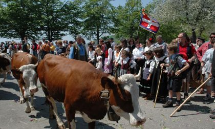 Cosa fare a Biella e provincia: gli eventi del weekend (27 e 28 maggio 2023)