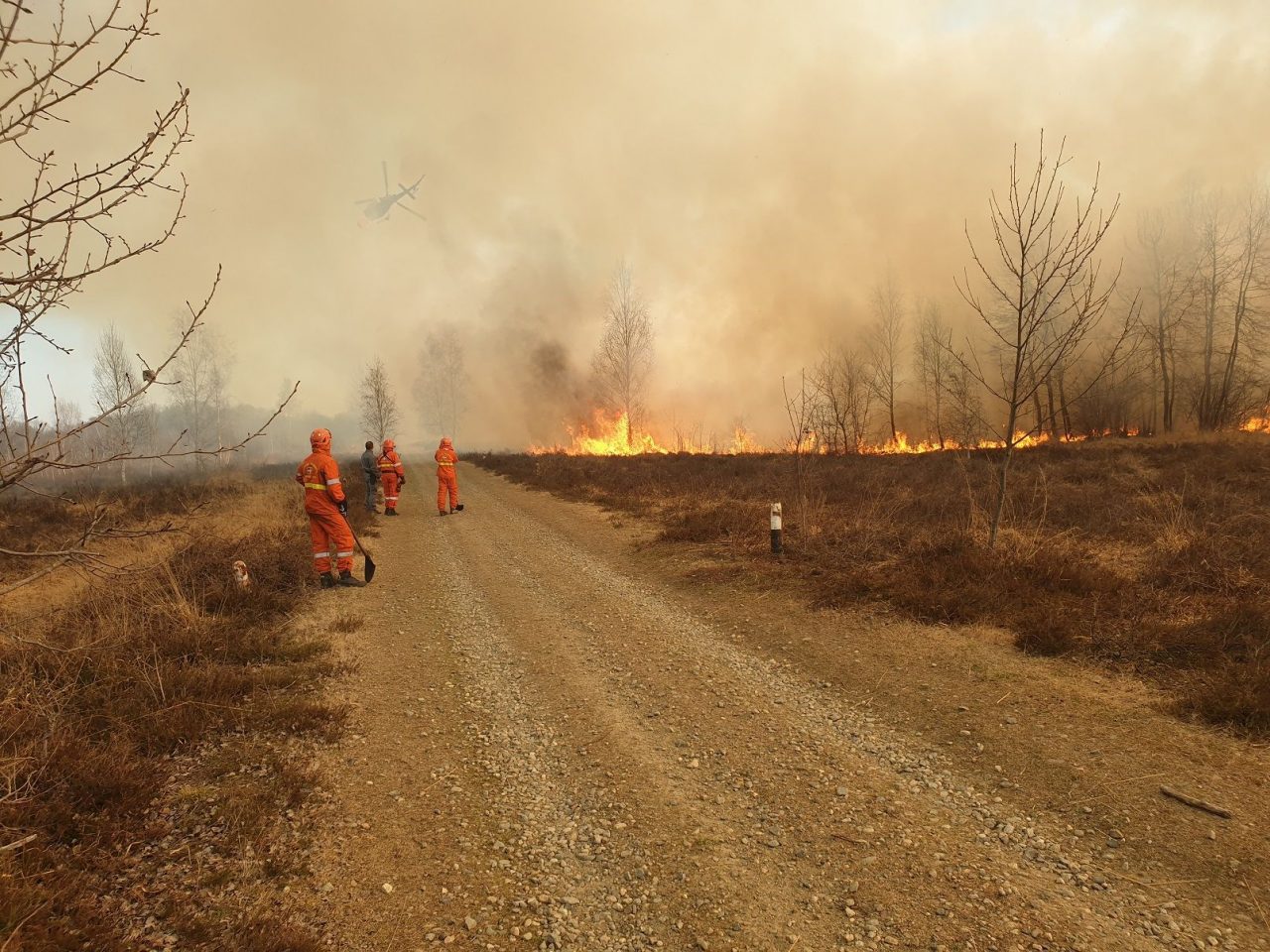 Incendi boschivi: revocato lo stato di massima pericolosità