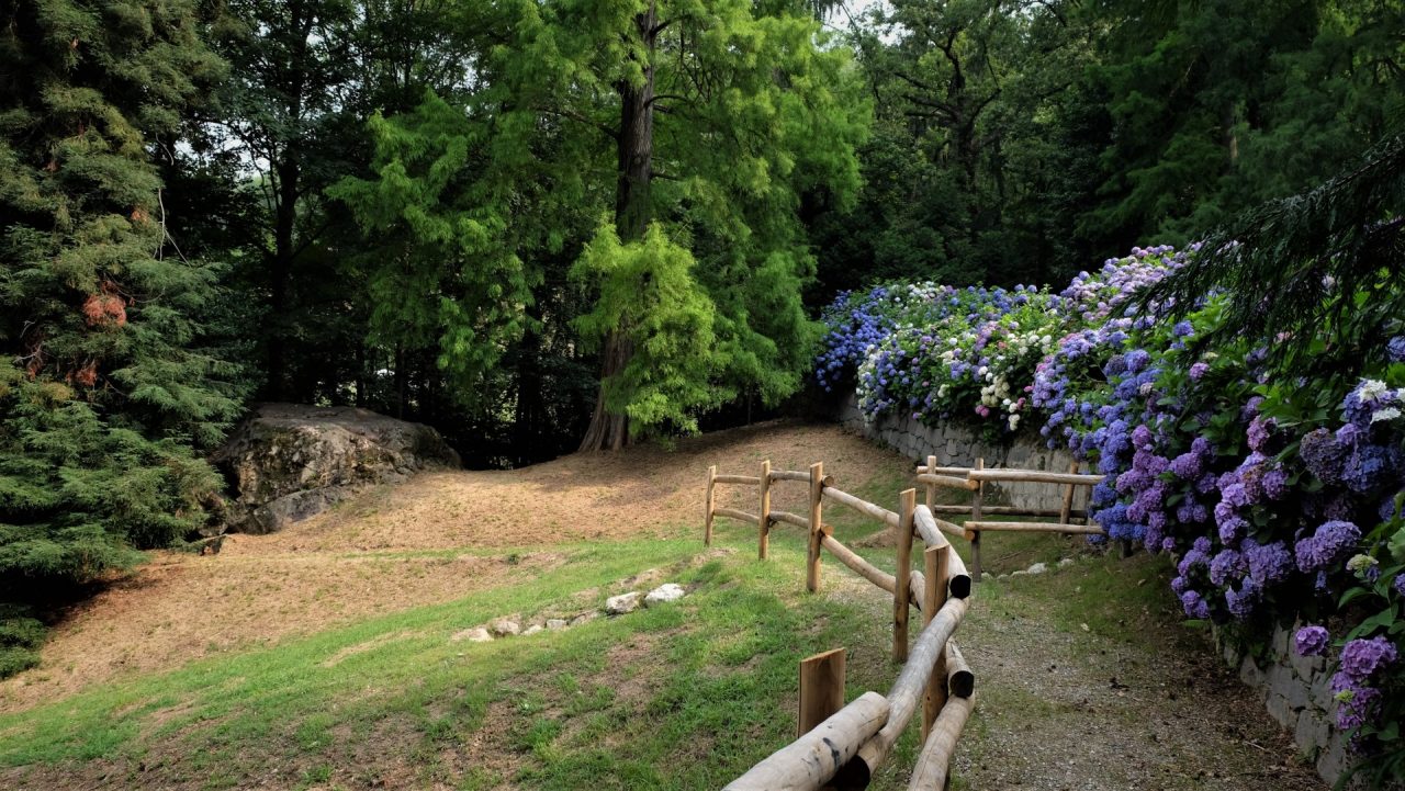Burcina: un cammino archeologico lungo la Valfenera?