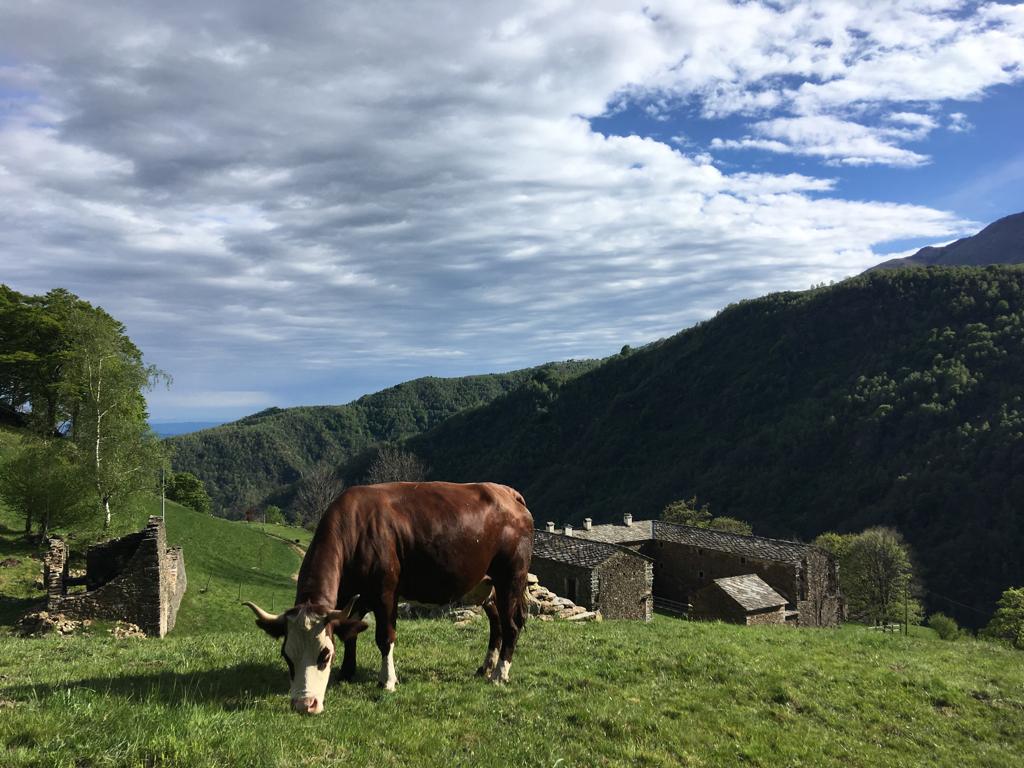 Trappa, festa rinviata di una settimana
