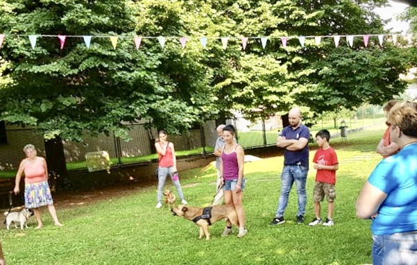 Qua la zampa, al parco Bau 20 cani con i loro padroni