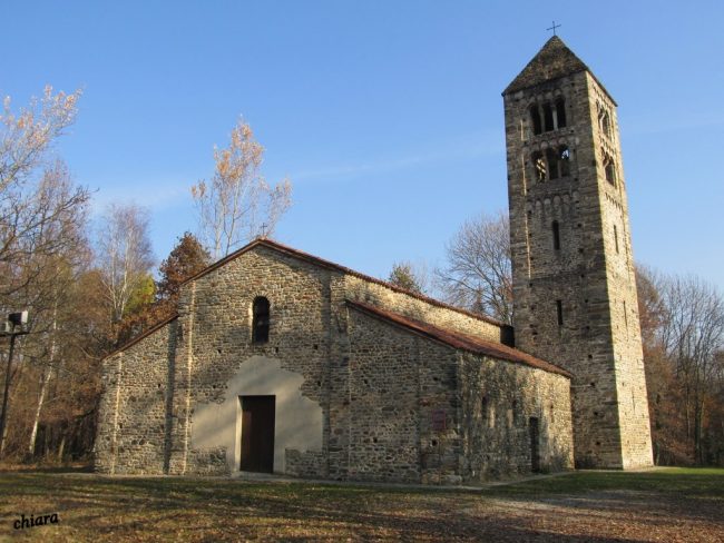Con le mini biblioteche diffuse ora nel bosco spuntano… i libri