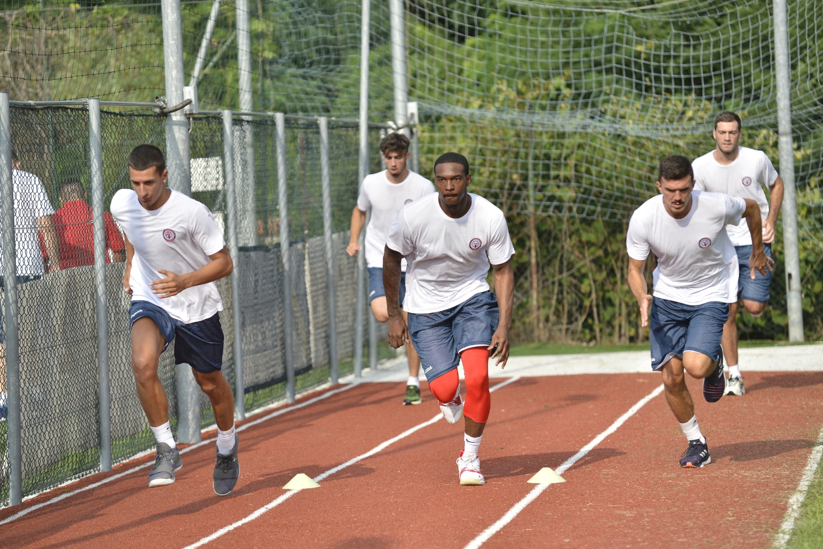 edilnol preparazione foto Canova (20)