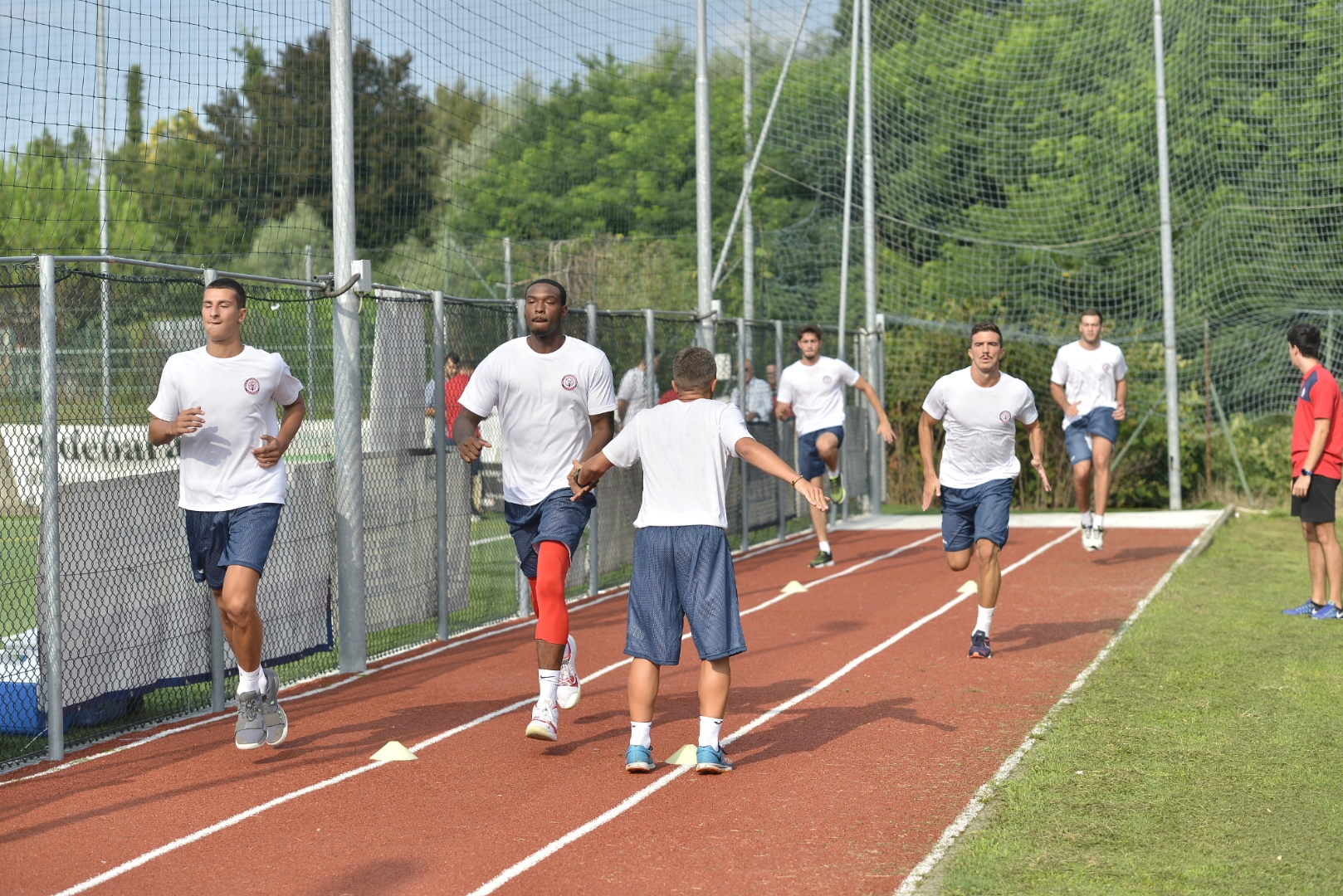 edilnol preparazione foto Canova (23)