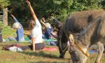 A Sala Biellese si fa yoga in mezzo agli asinelli