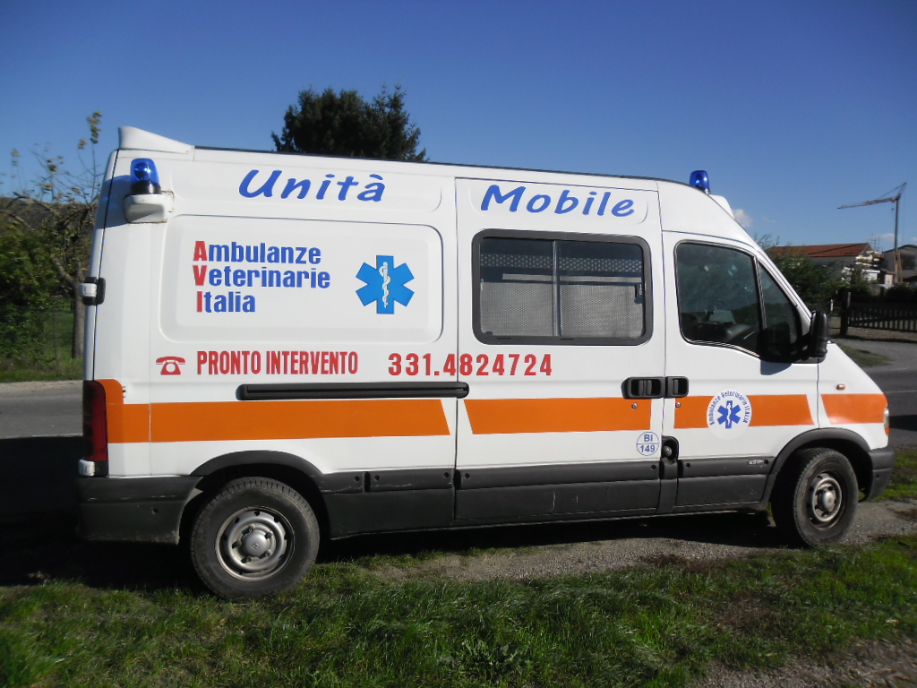 In arrivo le ambulanze per… animali