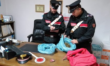 Spacciava marijuana nel Cossatese: arrestato dai carabinieri