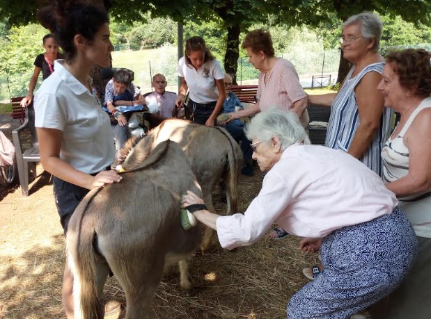 Due asinelle in visita alla casa di riposo