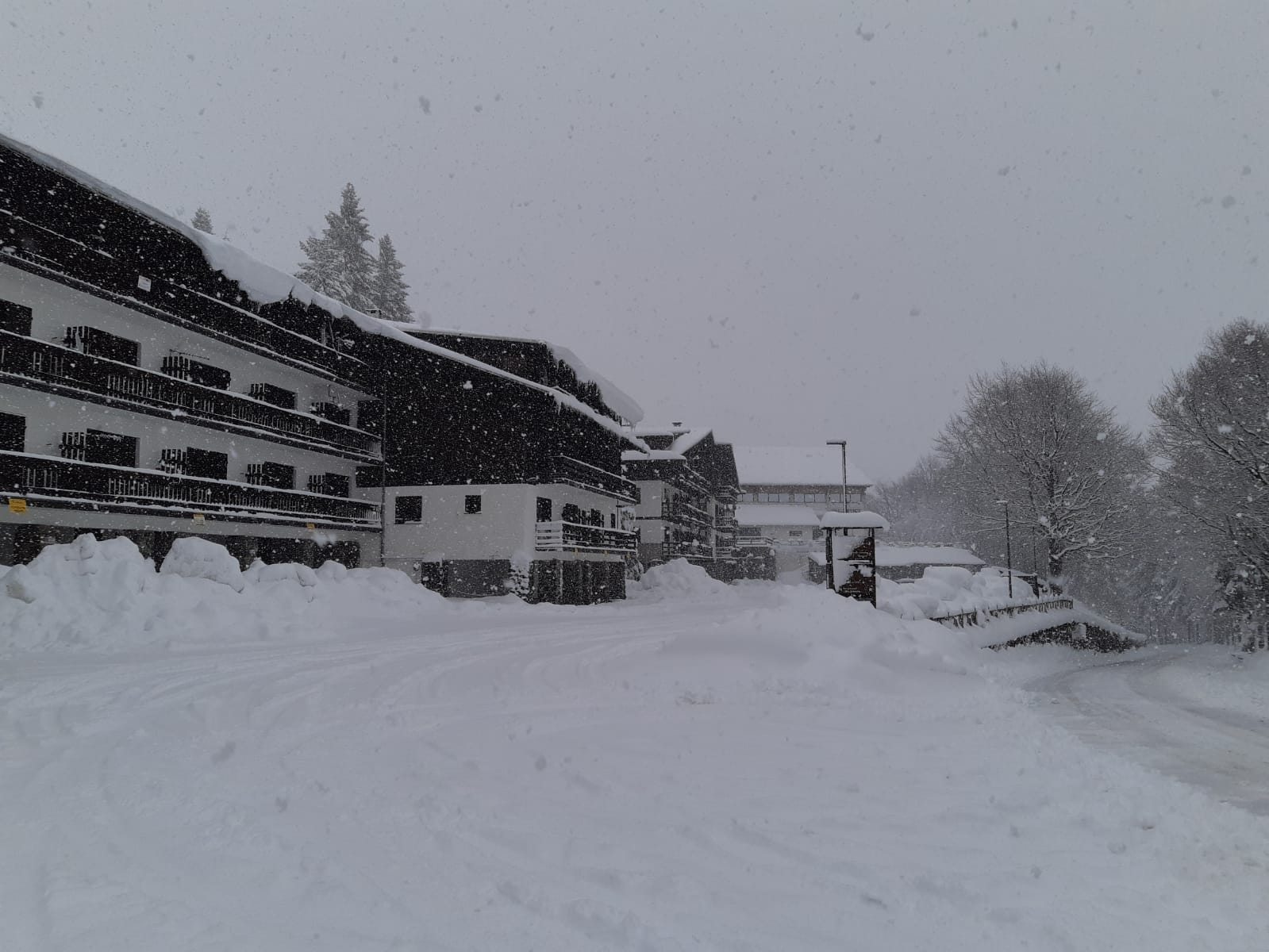 bielmonte neve 10