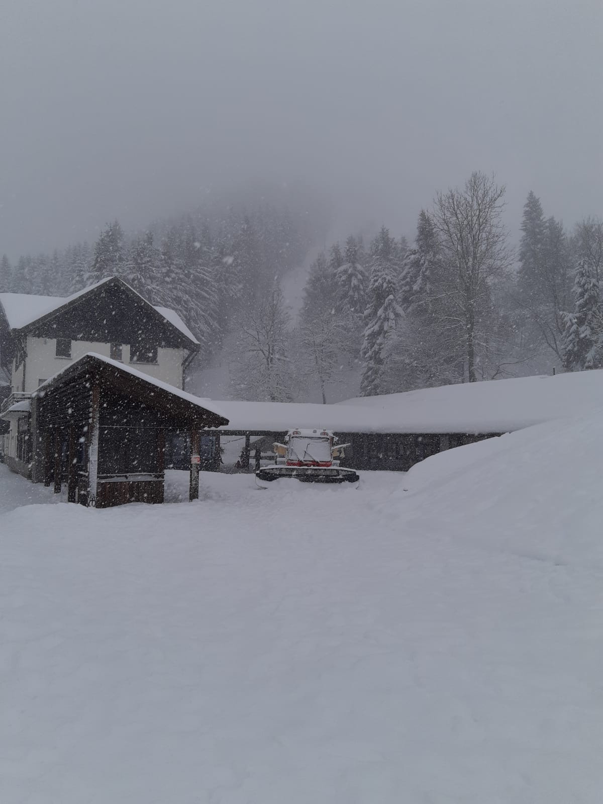 bielmonte neve 14