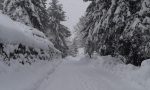 Forti nevicate in arrivo: allerta arancione, Protezione civile operativa