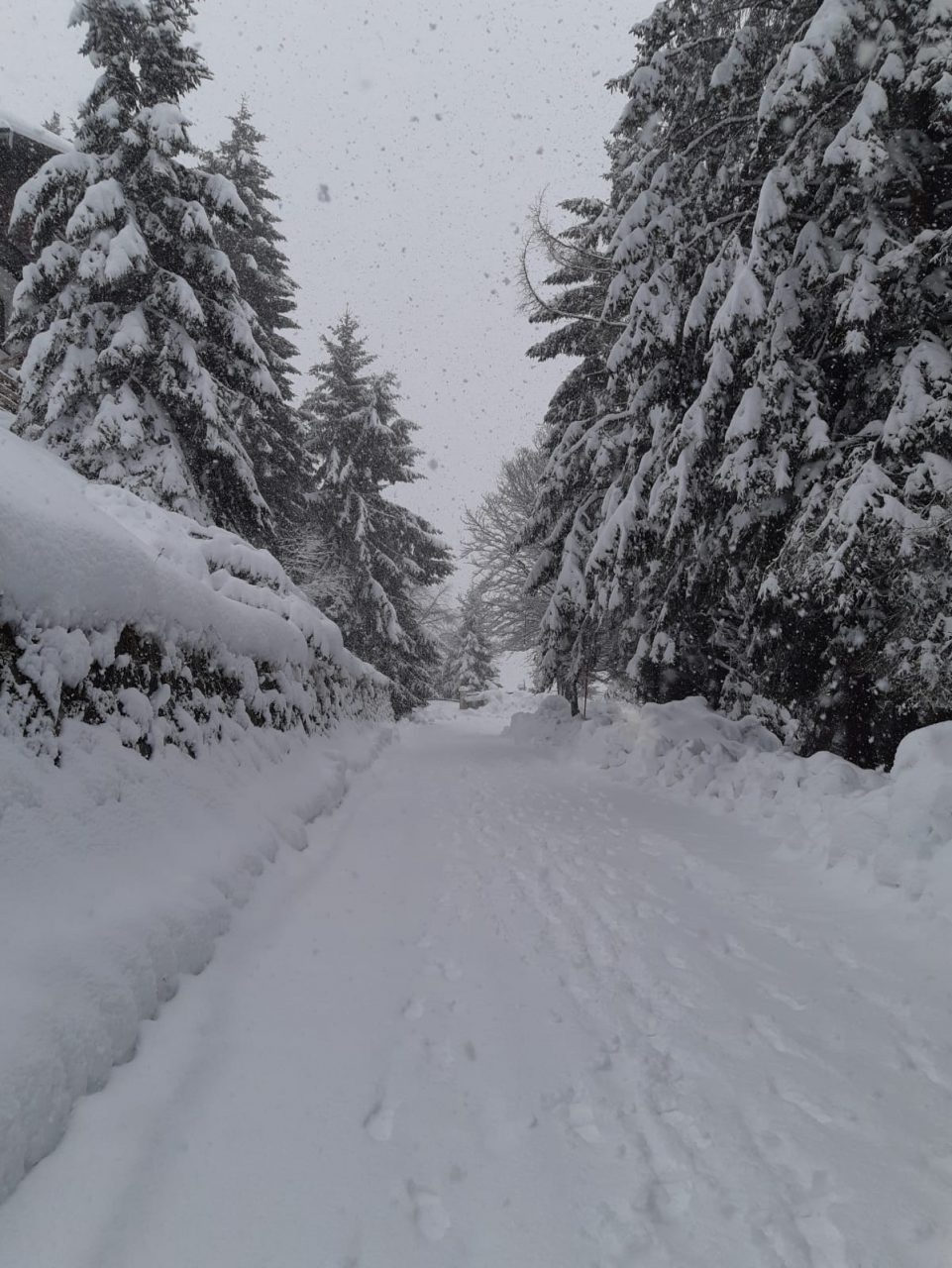 Forti nevicate in arrivo: allerta arancione, Protezione civile operativa