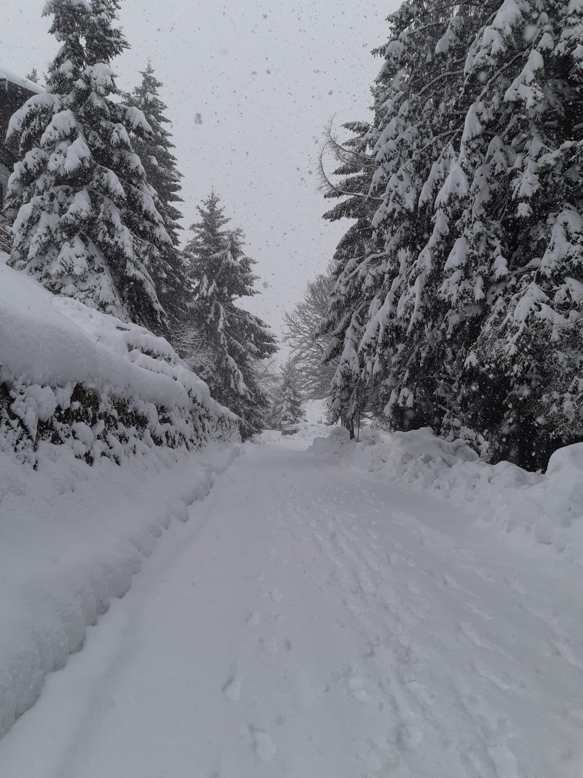 bielmonte neve1