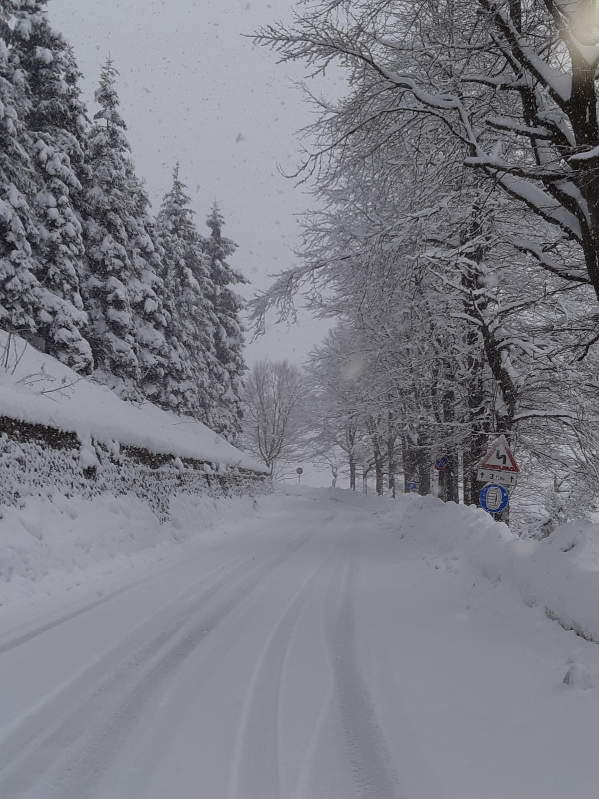 bielmonte neve3