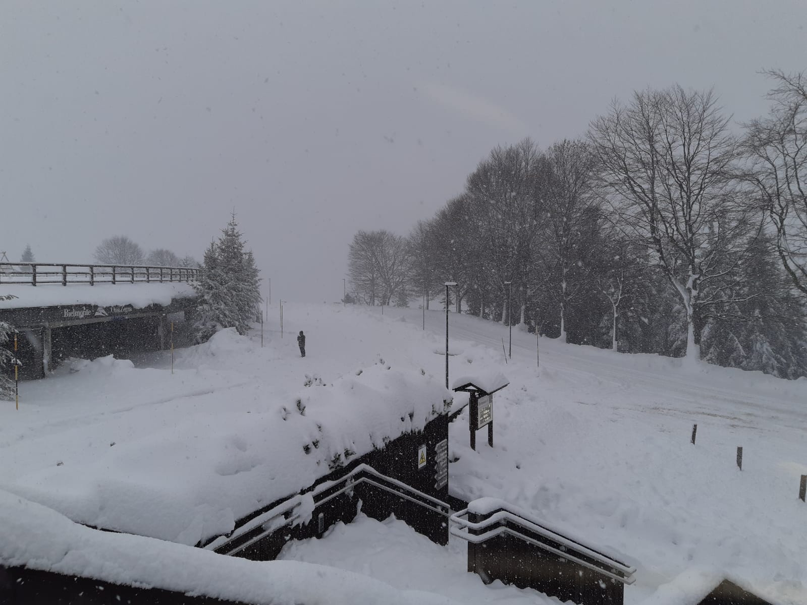 bielmonte neve6