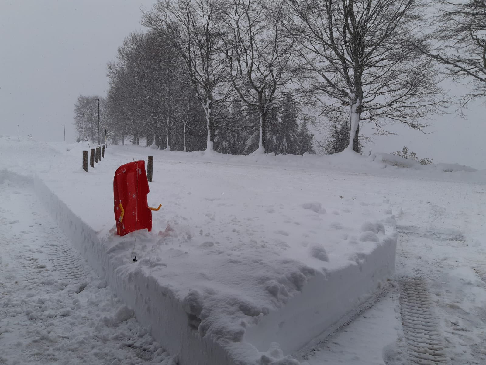 bielmonte neve8