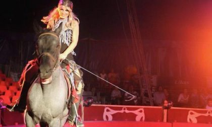 Veglionissimo sotto al tendone a Biella con il Circo delle Stelle