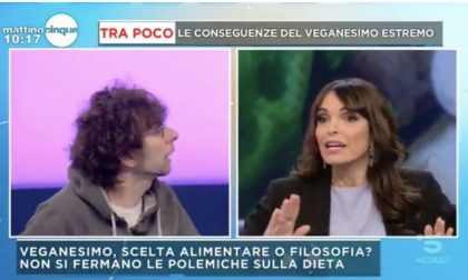 Valerio Vassallo vs Flavia Cercato a Mattino5 “Lei dice solo cose da ignorante!” VIDEO