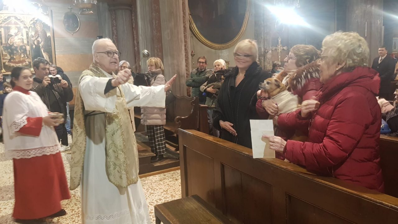 Benedizione per oltre un centinaio di animali al Piazzo