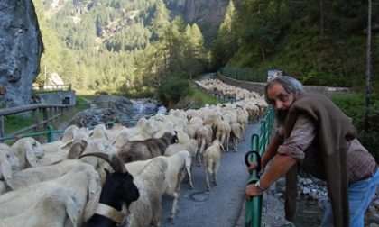 Addio al pastore Federico Seletto