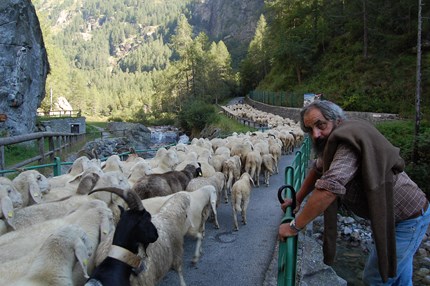 Addio al pastore Federico Seletto