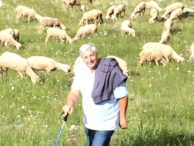 Imprenditore agricolo di Viverone “adotta” le arance del carnevale di Ivrea