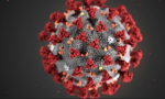 Coronavirus Piemonte: i morti sono 209, 24 nel Biellese