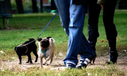 Emergenza Covid, come gestire il cane durante le passeggiate