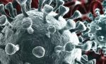 In "due giorni" 22 morti da Coronavirus nel Biellese, ma non è allarme