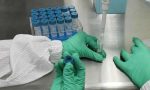 Coronavirus: in Australia si sta testando sui topi il vaccino S-Spike