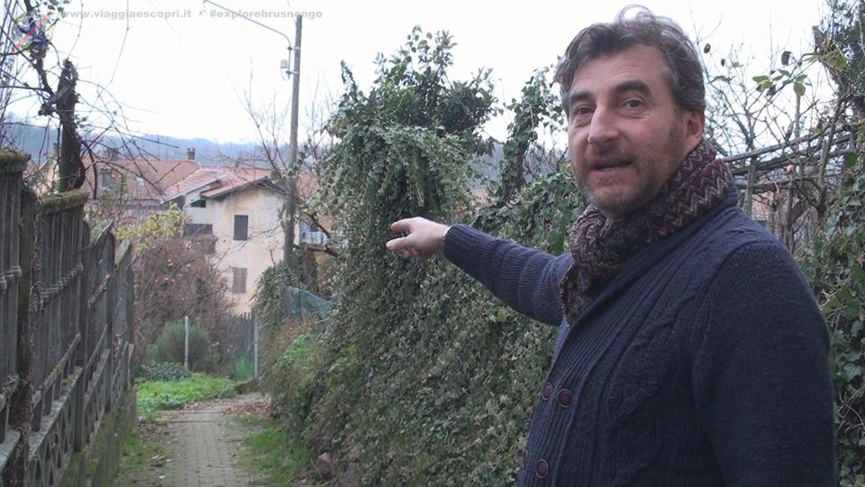 A Brusnengo via ai test sierologici