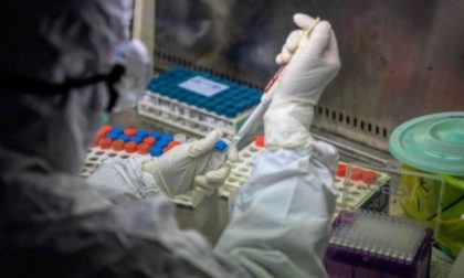 Coronavirus, nel Biellese nessun nuovo decesso ma 73 nuovi contagi