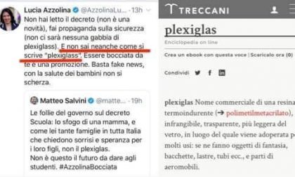 Battibecco su Twitter tra Salvini e la Azzolina... che scivola sul plexiglas (con 2 esse)