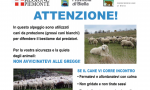 "Attenzione", i cartelli per aiutare escursionisti in montagna (con cani e greggi)