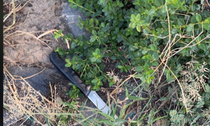 Coltello abbandonato in piazza, la denuncia: "Pericolo per bambini e cani, vergogna"