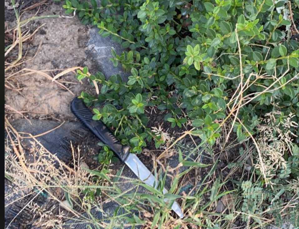 Coltello abbandonato in piazza, la denuncia: “Pericolo per bambini e cani, vergogna”
