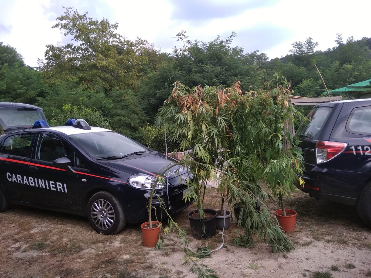 Sta innaffiando le piante di marijuana quando in casa gli piombano i Carabinieri