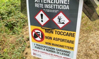 Trecento reti insetticide per combattere la Popillia