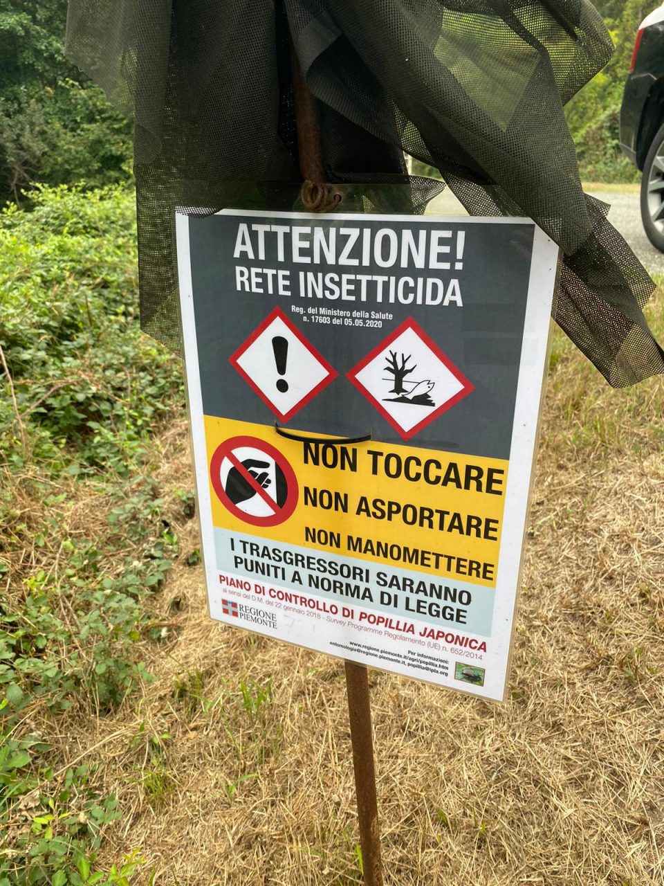 Trecento reti insetticide per combattere la Popillia