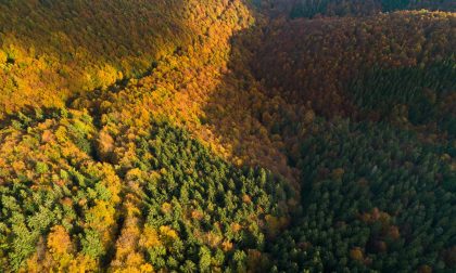 Foliage d'autunno all'Oasi Zegna: spettacolo unico  tra colori e paesaggi